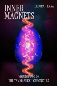 inner magnets kindle